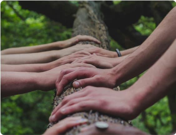 Relacionamiento comunitario